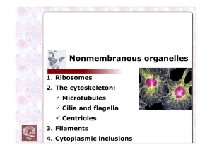 Nonmebranous Organelles