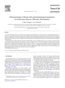 Characterization of blood cells and hematological