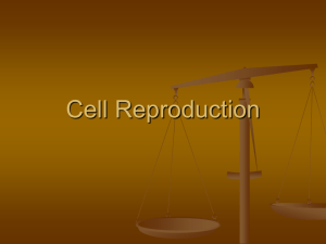 01. Reproduction of Cells