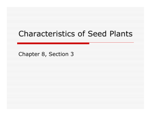 Characteristics of Seed Plants