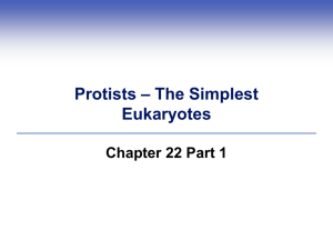 Protists – The Simplest Eukaryotes