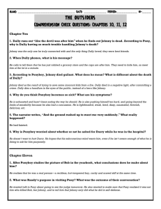 THE OUTSIDERS Comprehension Check Questions