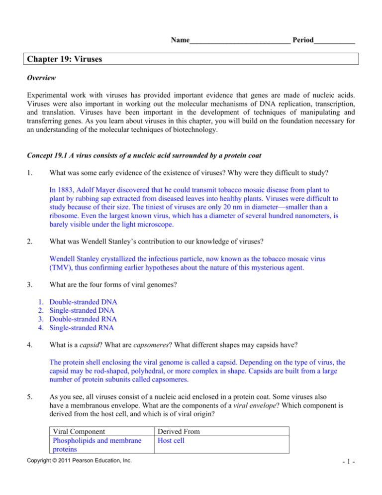 chapter 19 viruses