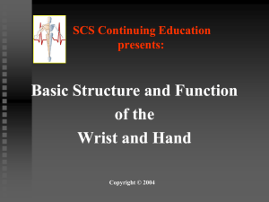 Basic Structure And Function Wrist And Hand