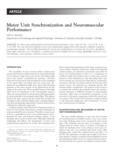 ARTICLE Motor Unit Synchronization and Neuromuscular