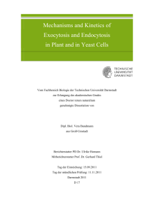 Mechanisms and Kinetics of Exocytosis and Endocytosis in Plant