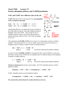 Pentose phosphate pathway and NADPH production