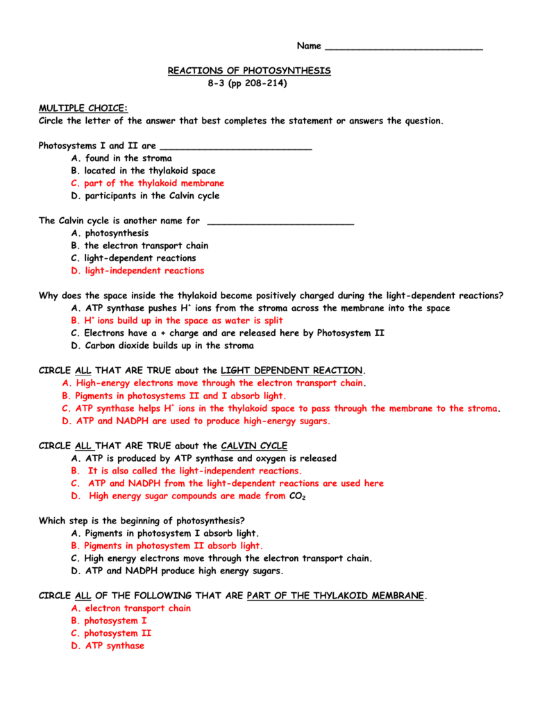 photosynthesis-worksheet-answers-name-date