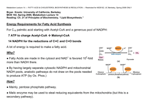 Fatty Acid & Cholesterol Biosynthesis & Regulation