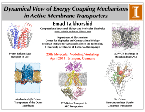 Dynamical View of Energy Coupling Mechanisms in - MGMS-DS
