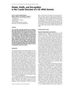 Metals, Motifs, and Recognition in the Crystal Structure of a 5S rRNA