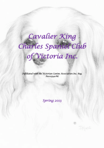 File - Cavalier King Charles Spaniel Club of Victoria Inc.