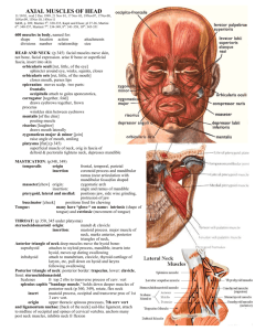 AXIAL MUSCLES OF HEAD