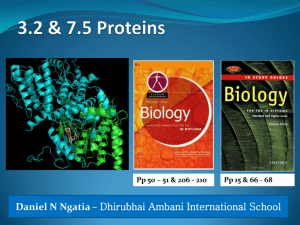 3.2 & 7.5 Proteins - IBDPBiology-Dnl