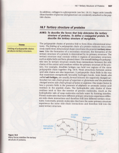 18.7 Tertiory structure of proteins