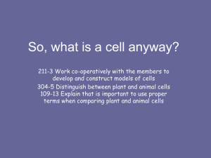 3. So, What is a cell anyway
