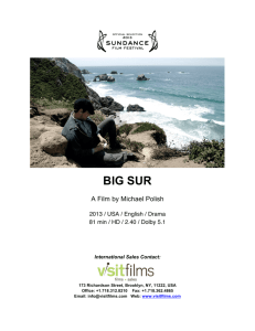 BigSur PressKit 2-19-14