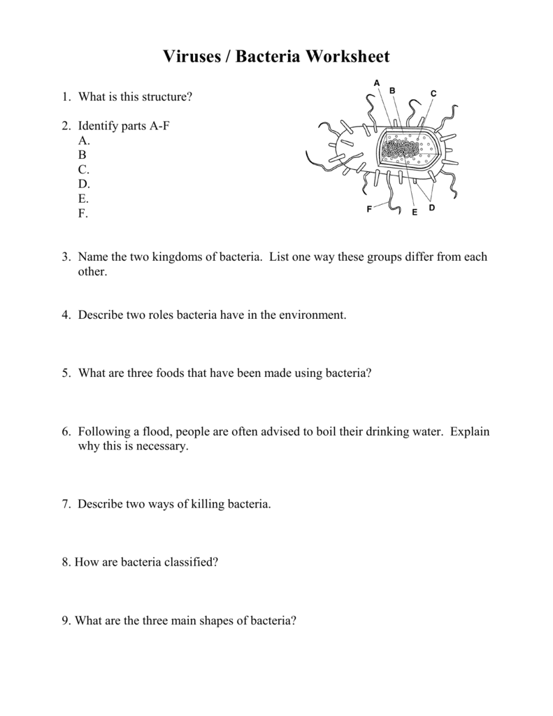 Viruses / Bacteria Worksheet With Regard To Virus And Bacteria Worksheet