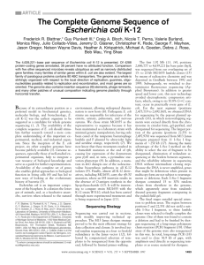 The Complete Genome Sequence of Escherichia coli K-12