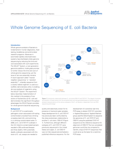 Whole Genome Sequencing of E. coli Bacteria