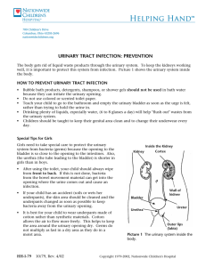urinary tract infection: prevention