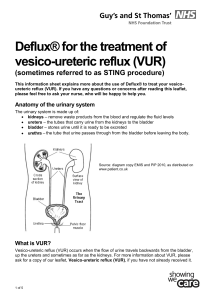 Deflux® for the treatment of vesico