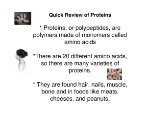 * Proteins, or polypeptides, are polymers made of monomers called