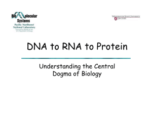 Structure I: DNA to RNA to Protein