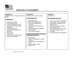 Branches of Government Chart