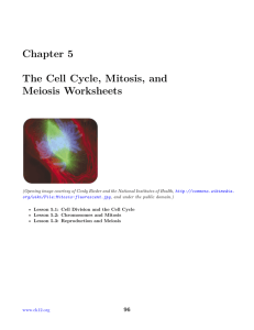 1: Chapter 5 The Cell Cycle, Mitosis, and Meiosis Worksheets