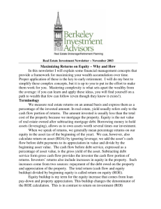 Maximizing Returns on Equity - Berkeley Investment Advisors