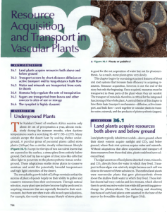 Chapter 36- Resource Acquisition and Transport in Vascular Plants