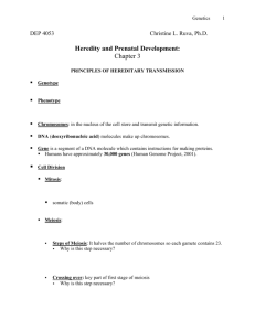 Heredity and Prenatal Development: Chapter 3