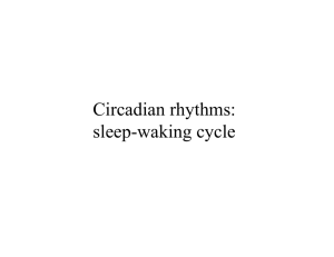 Circadian rhythms: sleep-waking cycle