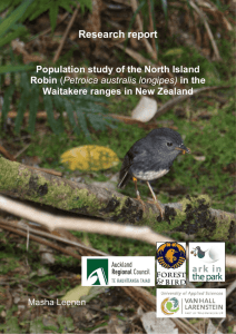 Population study of the North Island Robin _2_