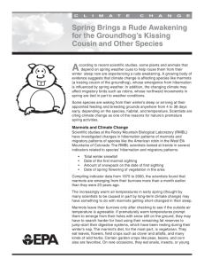 Spring Brings a Rude Awakening for the Groundhog's Kissing