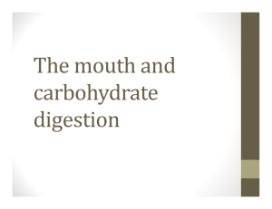 The mouth and carbohydrate digestion NOTES