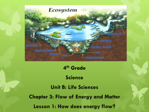 4th Grade Science Unit B: Life Sciences Chapter 3: Flow of Energy