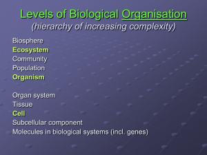 Levels of Biological Organisation (hierarchy of increasing complexity)
