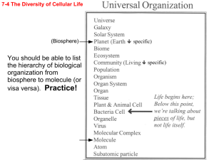 You should be able to list the hierarchy of biological organization