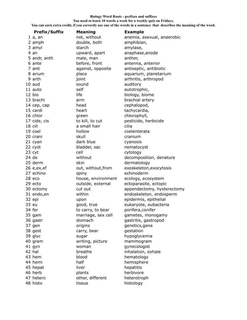 Biology Word Roots Prefixes Suffixes