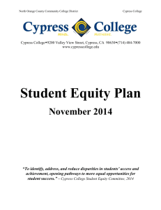 student equity plan summary