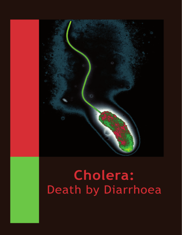 vibrio cholera sketchy micro flashcard