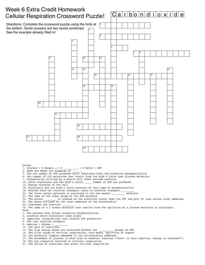 Criss Cross Puzzle Answers