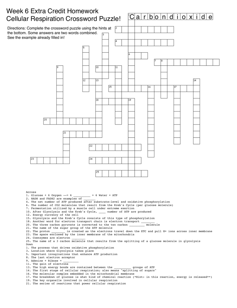 Discovery education crossword puzzle maker nipodclass