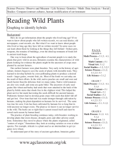 reading Wild Plants