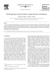 Psychophysical receptive fields of edge detection