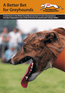 “A Better Bet for Greyhounds” 2007 ENGLISH