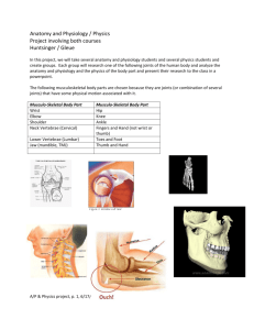 Details of Physics/Anatomy & Physiology LHS student project