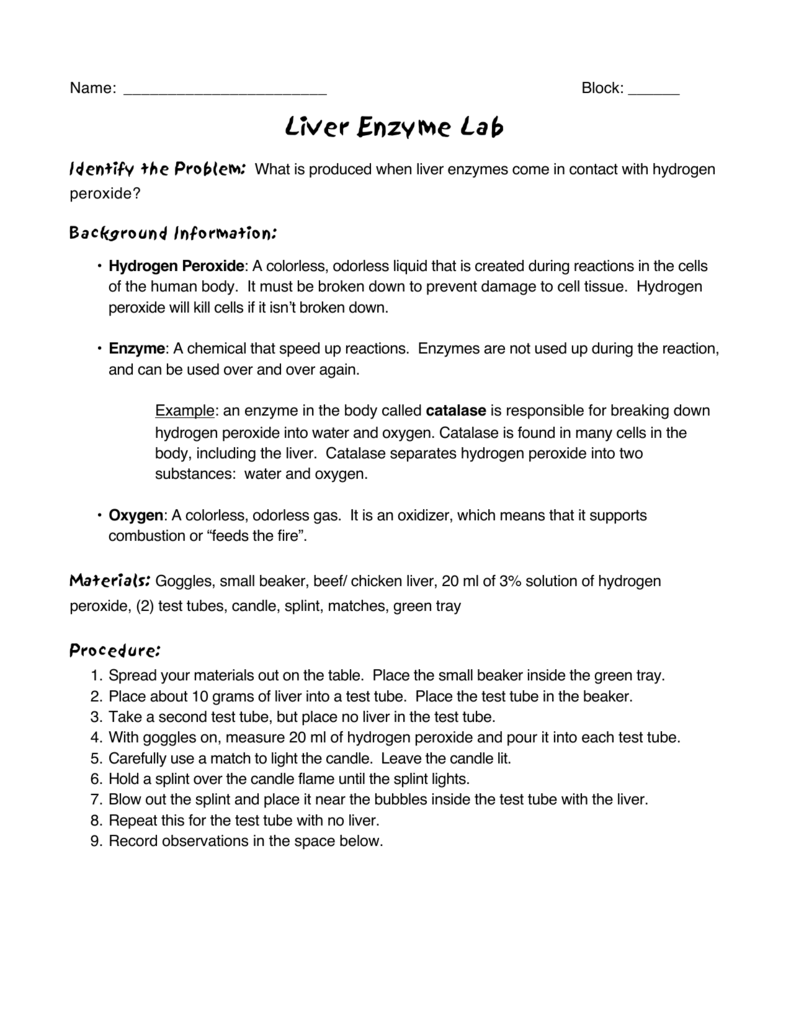 liver and hydrogen peroxide lab report